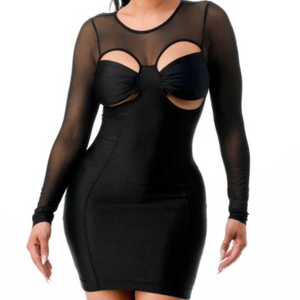 Sexy Long Sleeve Mini Dress